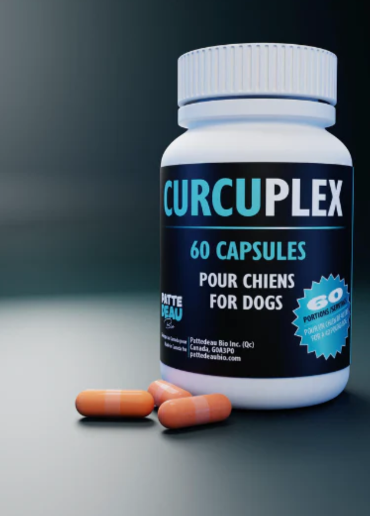 SUPP - Curcuplex